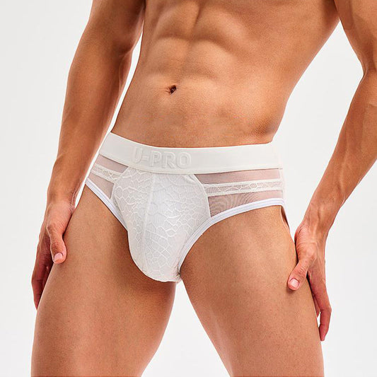 Snake print mesh briefs